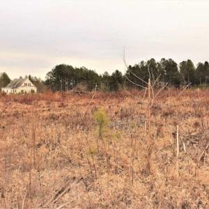 Photo of 16 + / -  acres of Residential/Timberland For Sale in Chatham County NC!