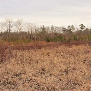 Photo of 16 + / -  acres of Residential/Timberland For Sale in Chatham County NC!