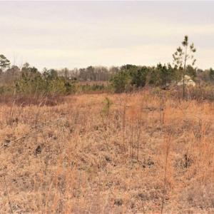 Photo of 16 + / -  acres of Residential/Timberland For Sale in Chatham County NC!