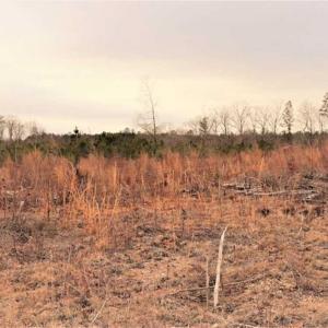 Photo of 16 + / -  acres of Residential/Timberland For Sale in Chatham County NC!