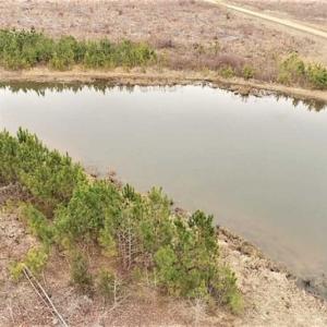 Photo of 16 + / -  acres of Residential/Timberland For Sale in Chatham County NC!