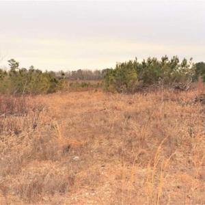 Photo of 16 + / -  acres of Residential/Timberland For Sale in Chatham County NC!