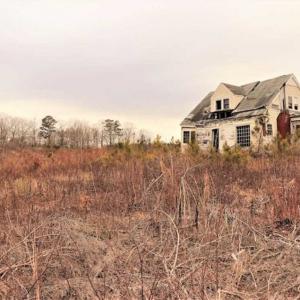 Photo of 16 + / -  acres of Residential/Timberland For Sale in Chatham County NC!