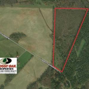 Photo of 22 + / - acres of Residential/Timberland For Sale in Chatham County NC!