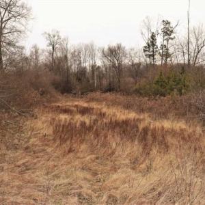 Photo of 22 + / - acres of Residential/Timberland For Sale in Chatham County NC!