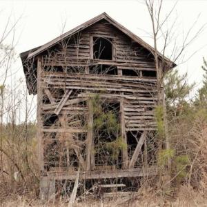 Photo of 22 + / - acres of Residential/Timberland For Sale in Chatham County NC!