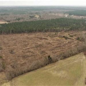 Photo of 22 + / - acres of Residential/Timberland For Sale in Chatham County NC!