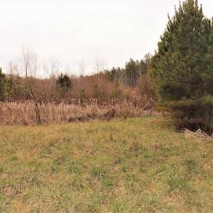 Photo of 22 + / - acres of Residential/Timberland For Sale in Chatham County NC!