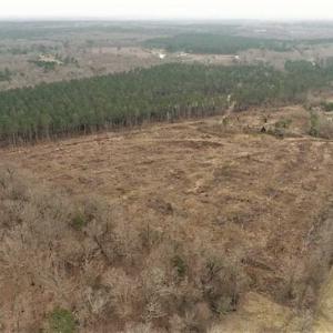 Photo of 22 + / - acres of Residential/Timberland For Sale in Chatham County NC!