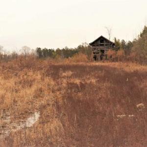 Photo of 22 + / - acres of Residential/Timberland For Sale in Chatham County NC!