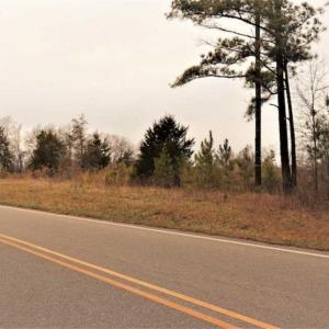 Photo of 22 + / - acres of Residential/Timberland For Sale in Chatham County NC!