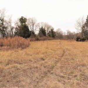 Photo of 22 + / - acres of Residential/Timberland For Sale in Chatham County NC!