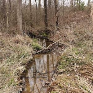 Photo of 22 + / - acres of Residential/Timberland For Sale in Chatham County NC!