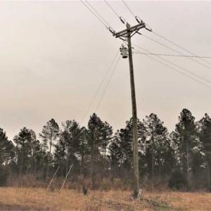 Photo of 22 + / - acres of Residential/Timberland For Sale in Chatham County NC!