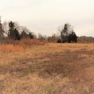 Photo of 22 + / - acres of Residential/Timberland For Sale in Chatham County NC!