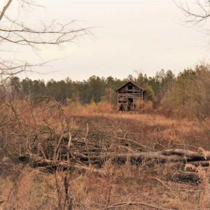 Photo of 22 + / - acres of Residential/Timberland For Sale in Chatham County NC!