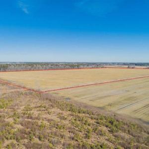 Photo of 141.45 Acres of Developmental Land for Sale in the City of Chesapeake VA!