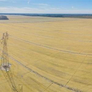 Photo of 141.45 Acres of Developmental Land for Sale in the City of Chesapeake VA!
