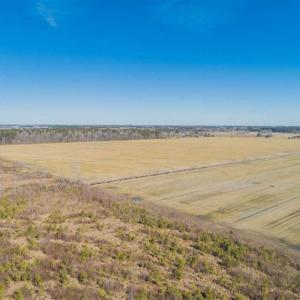 Photo of 141.45 Acres of Developmental Land for Sale in the City of Chesapeake VA!