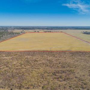 Photo of 141.45 Acres of Developmental Land for Sale in the City of Chesapeake VA!