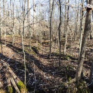 Photo of 3.01 Acres of Residential Land For Sale in Orange County NC!