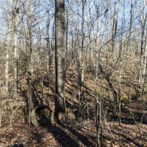 Photo of 3.01 Acres of Residential Land For Sale in Orange County NC!