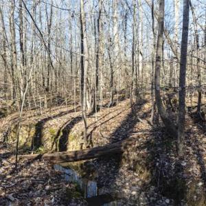 Photo of 3.01 Acres of Residential Land For Sale in Orange County NC!