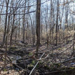 Photo of 3.01 Acres of Residential Land For Sale in Orange County NC!
