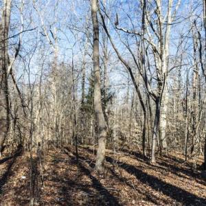 Photo of 3.01 Acres of Residential Land For Sale in Orange County NC!