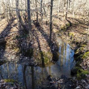Photo of 3.01 Acres of Residential Land For Sale in Orange County NC!