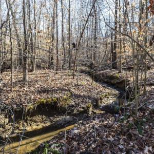 Photo of 3.01 Acres of Residential Land For Sale in Orange County NC!