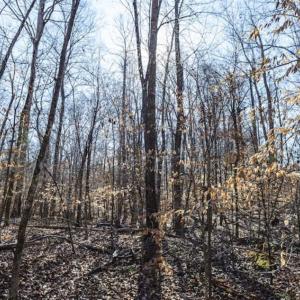 Photo of 3.01 Acres of Residential Land For Sale in Orange County NC!