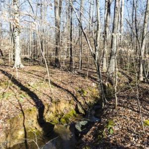 Photo of 3.01 Acres of Residential Land For Sale in Orange County NC!