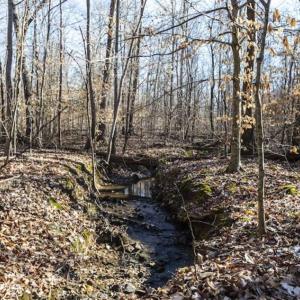 Photo of 3.01 Acres of Residential Land For Sale in Orange County NC!