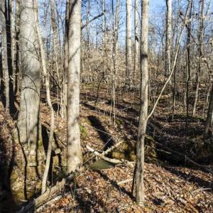 Photo of 3.01 Acres of Residential Land For Sale in Orange County NC!