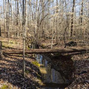 Photo of 3.01 Acres of Residential Land For Sale in Orange County NC!
