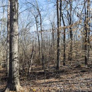 Photo of 3.01 Acres of Residential Land For Sale in Orange County NC!