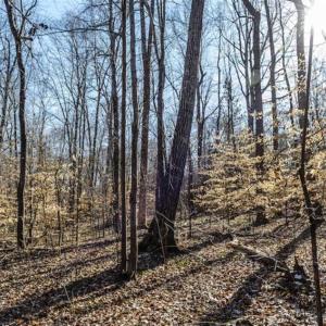 Photo of 3.01 Acres of Residential Land For Sale in Orange County NC!