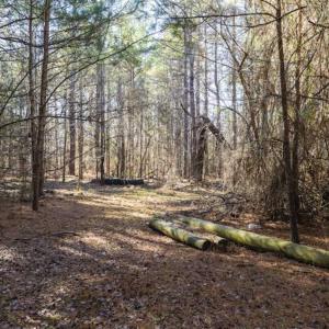 Photo of 15 Acres + / -  of Timber and Residential Land For Sale in Franklin County NC!