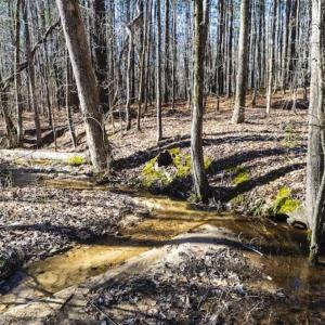 Photo of 15 Acres + / -  of Timber and Residential Land For Sale in Franklin County NC!