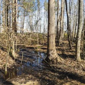 Photo of 15 Acres + / -  of Timber and Residential Land For Sale in Franklin County NC!