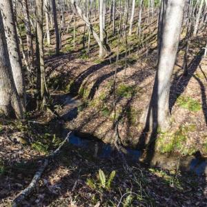 Photo of 15 Acres + / -  of Timber and Residential Land For Sale in Franklin County NC!