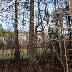 Photo of 20 acres of Hunting and Recreational Land For Sale in Halifax County VA!