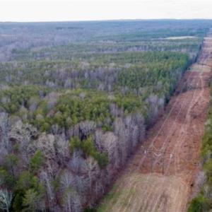 Photo of 20 acres of Hunting and Recreational Land For Sale in Halifax County VA!