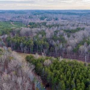 Photo of 20 acres of Hunting and Recreational Land For Sale in Halifax County VA!