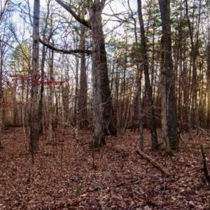 Photo of 20 acres of Hunting and Recreational Land For Sale in Halifax County VA!