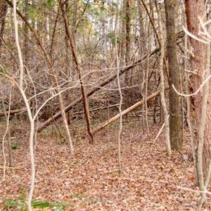 Photo of 20 acres of Hunting and Recreational Land For Sale in Halifax County VA!