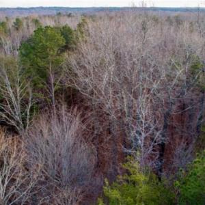 Photo of 20 acres of Hunting and Recreational Land For Sale in Halifax County VA!