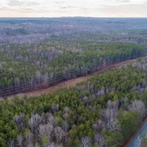 Photo of 20 acres of Hunting and Recreational Land For Sale in Halifax County VA!