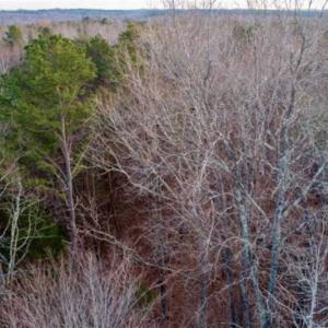 Photo of 20 acres of Hunting and Recreational Land For Sale in Halifax County VA!